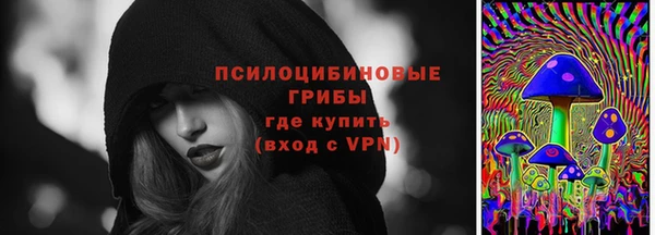 СК Аркадак