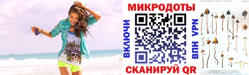 Галлюциногенные грибы Psilocybe  как найти закладки  Кулебаки 