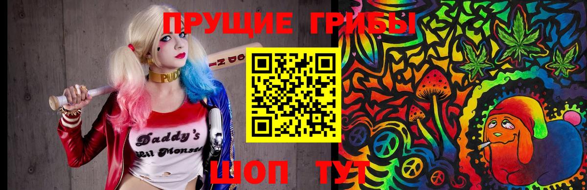 Псилоцибиновые грибы мицелий Кулебаки