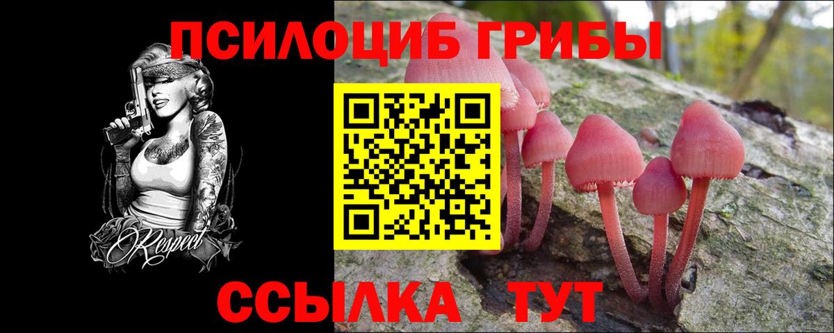 Кулебаки  Галлюциногенные грибы MAGIC MUSHROOMS  Вход с VPN 